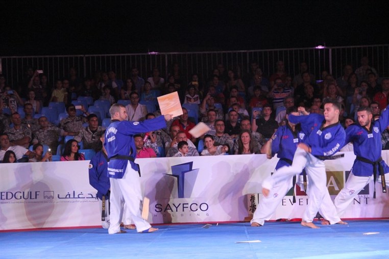 Martial Arts Festival